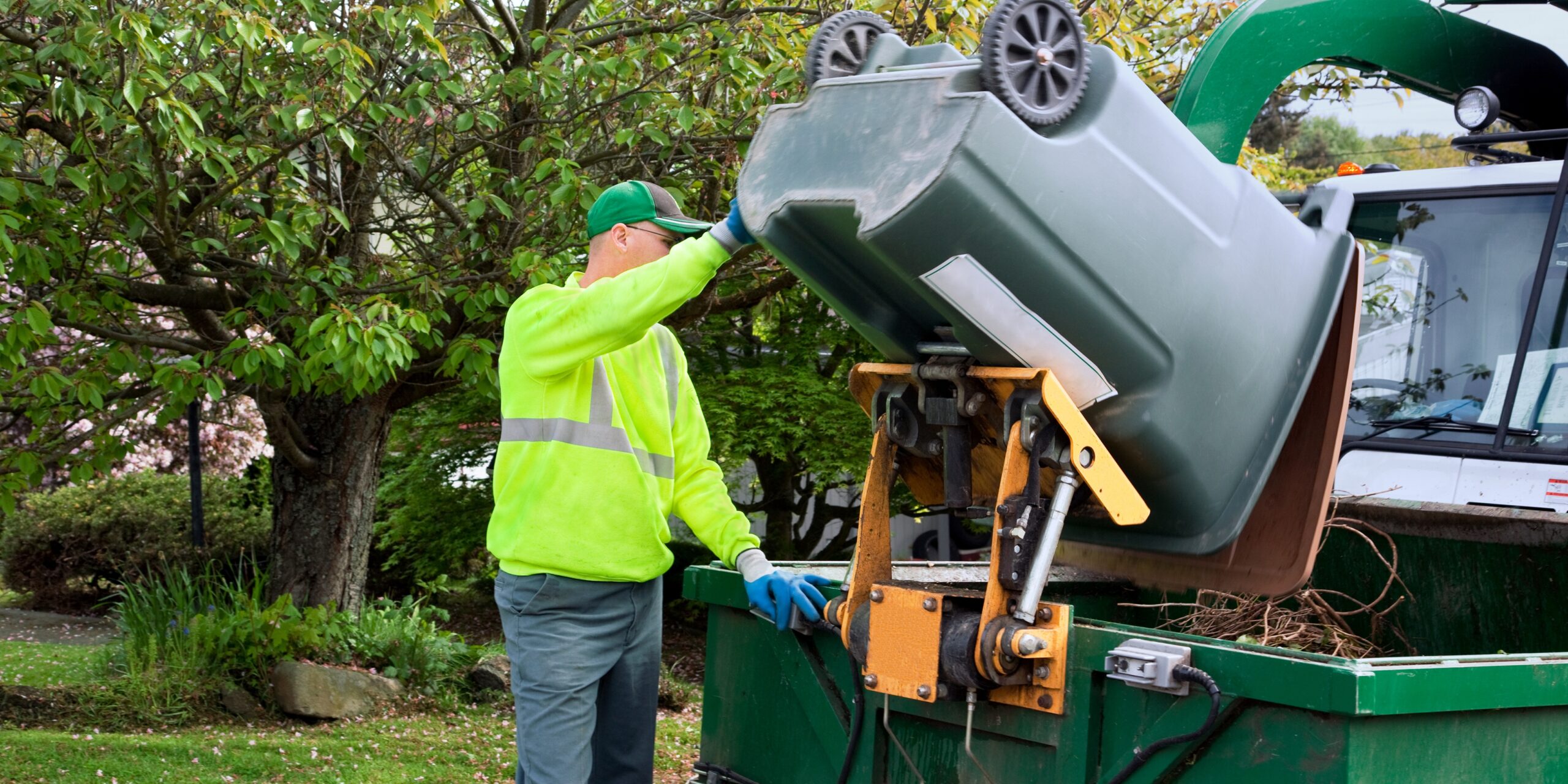 Movi ecoService